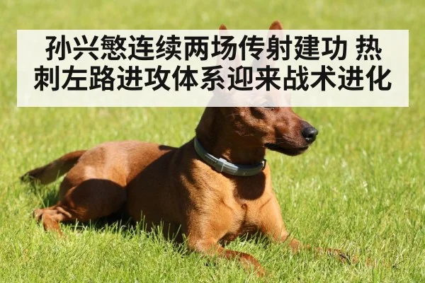 孙兴慜连续两场传射建功 热刺左路进攻体系迎来战术进化