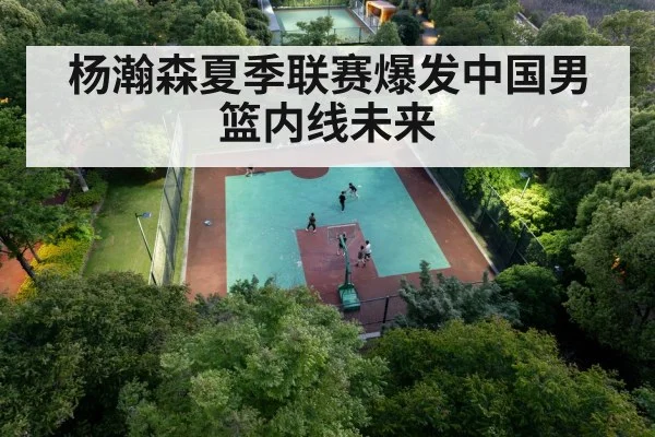 Chinese basketball center