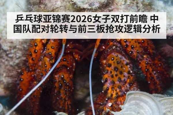 乒乓球亚锦赛2026女子双打前瞻 中国队配对轮转与前三板抢攻逻辑分析（AGGaming）