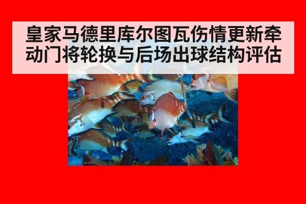 皇家马德里库尔图瓦伤情更新牵动门将轮换与后场出球结构评估(AGGaming)
